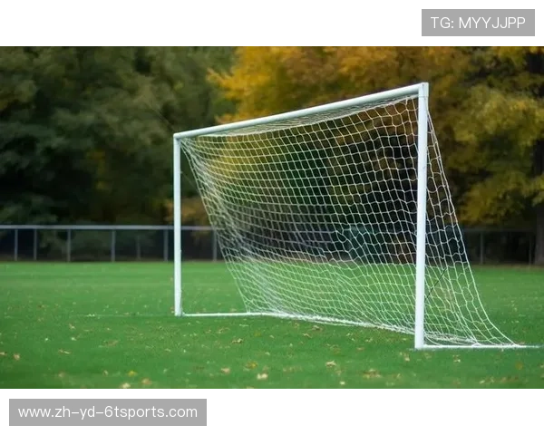 足球门线技术引入后是否有效减少比赛中的争议进球事件