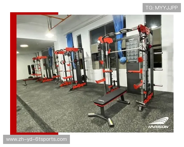 高拉力训练器如何帮助提高背部和肩部力量